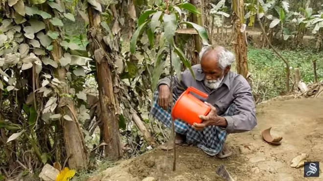 Mỗi ngày trồng 1 cây, 48 năm sau cụ ông làm được điều khiến ai cũng phải kinh ngạc - Ảnh 2.