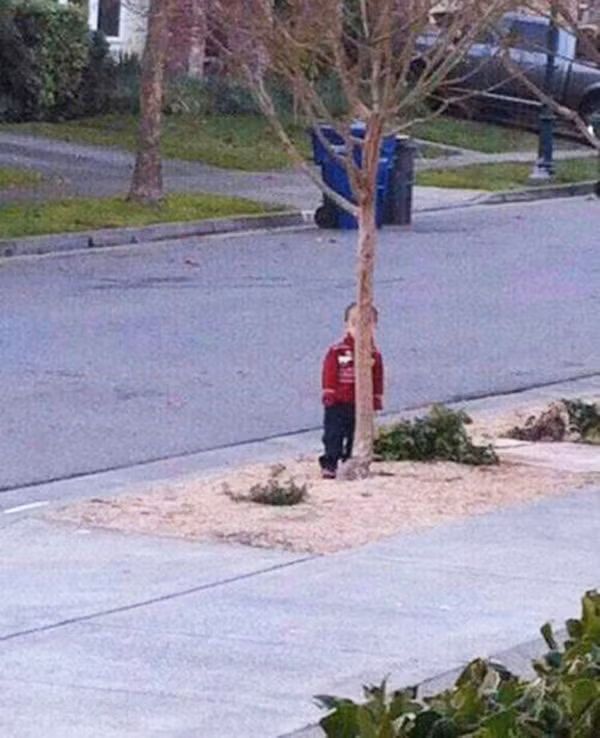 Chả hiểu sao 16 trường hợp có tý ngã cây này vẫn chưa bị trại tâm thần triệu hồi - Ảnh 5.