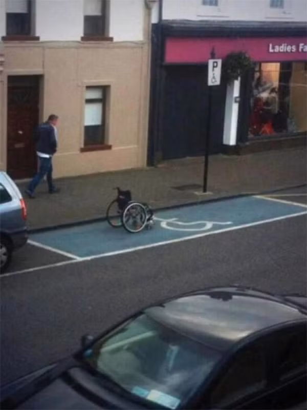 Chả hiểu sao 16 trường hợp có tý ngã cây này vẫn chưa bị trại tâm thần triệu hồi - Ảnh 14.