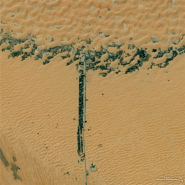 Chữ T: Một vùng đất đang được quy hoạch ở UAE