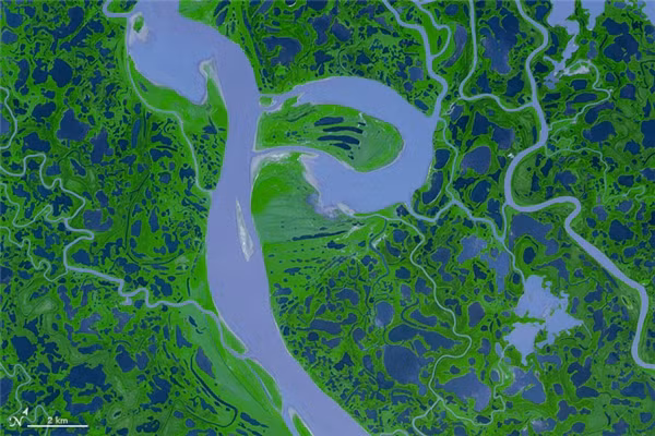 Chữ P:&nbsp;Vùng châu thổ Sông Mackenzie, Canada