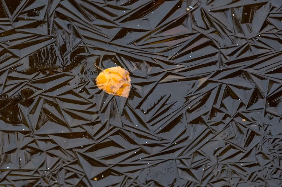 Những hình ảnh đẹp không tì vết đến những người khó tính nhất cũng xiêu lòng ảnh 12