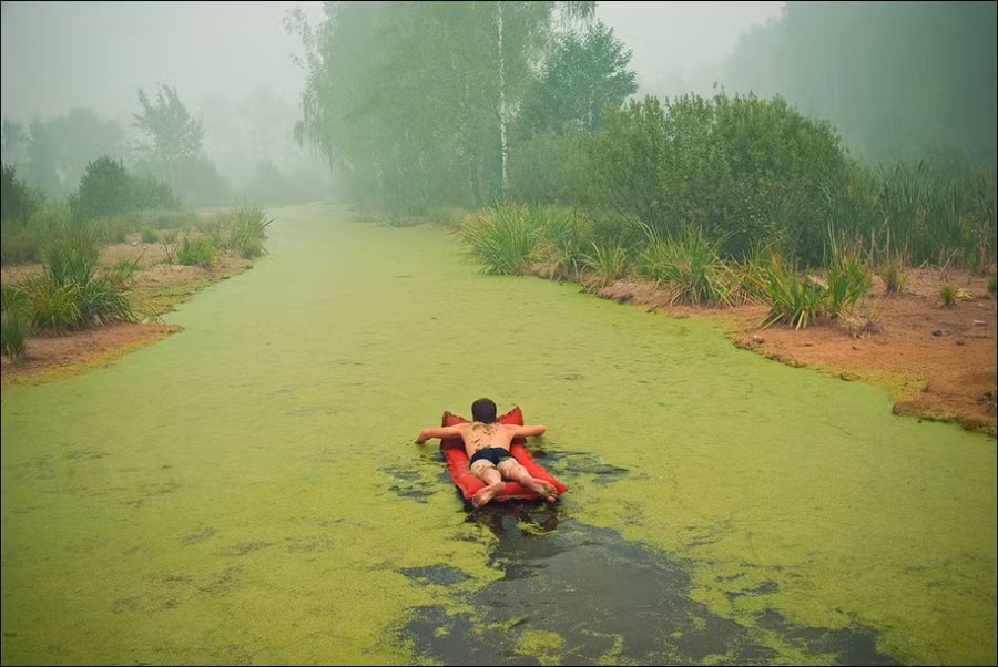 Những hình ảnh đẹp không tì vết đến những người khó tính nhất cũng xiêu lòng ảnh 5