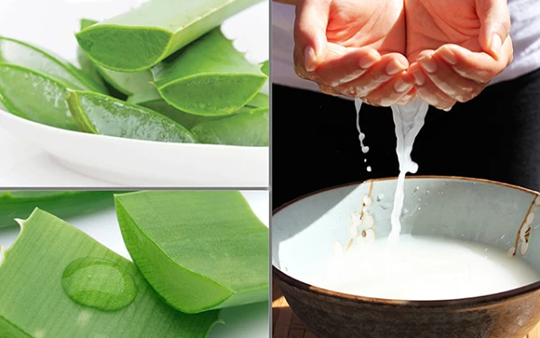 3 cách trị nám da bằng nha đam ngay tại nhà