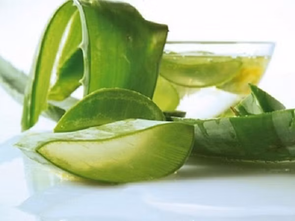 3-cach-tri-nam-da-bang-nha-dam-ngay-tai-nha-giadinhvietnam.com 1