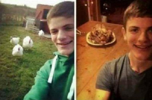 Ảnh selfie kinh dị của loài gà. 10-anh-hai-hot-nhat-facebook-trong-ngay-7