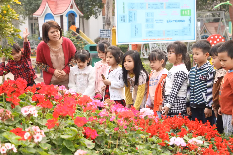 Cô trò Trường Mầm non Yên Sở cùng nhau tìm hiểu về các loài hoa ở khuôn viên vườn trường.