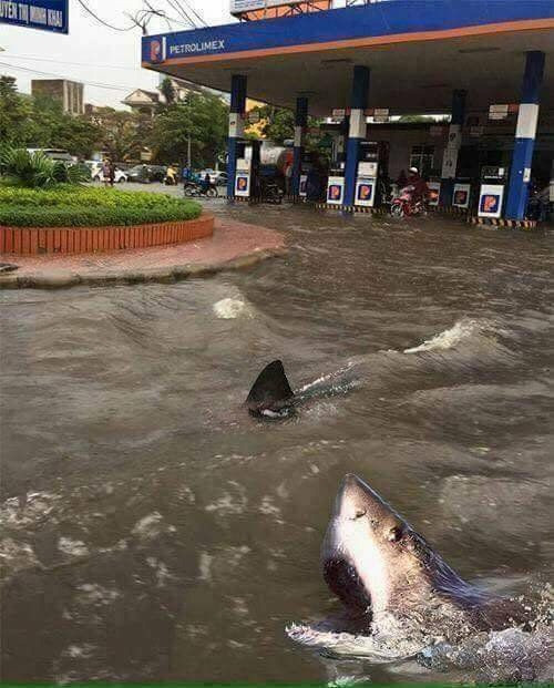 Quê em mùa nước lũ. 10-anh-hai-hot-nhat-facebook-trong-ngay