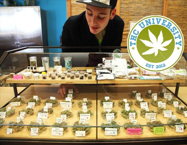 Trường Đại học dạy về cần sa