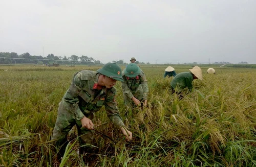 Tình quân dân nơi vùng tâm bão