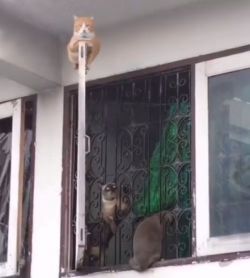 10-anh-hai-hot-nhat-facebook-trong-ngay-5