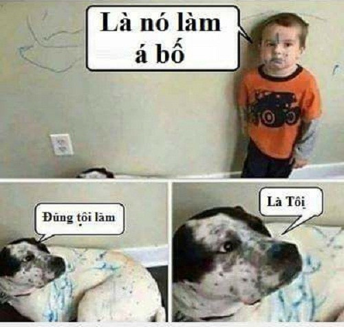 Nỗi oan không nói thành lời. 10-anh-hai-hot-nhat-facebook-trong-ngay-6