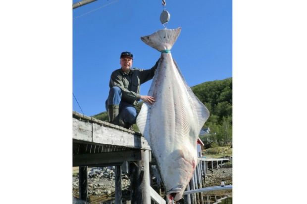 Món cá tuyết làm lên hạnh phúc cho người dân Na Uy