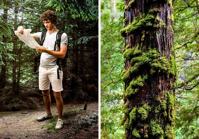 Tìm đường trong rừng. Nếu có chuyến dạo chơi trong rừng, bạn nên chắc rằng mình biết cách tìm đường trong một môi trường không quen thuộc. Đừng dựa vào những thiết bị điện tử vì chúng có thể bị hỏng bất chợt. Để an toàn hơn, bạn nên mang theo la bàn. 10-meo-nho-co-the-cuu-song-ban-mot-ngay-nao-do-3