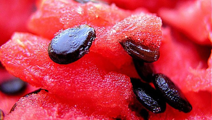 hạt trái cây hạt trái cây