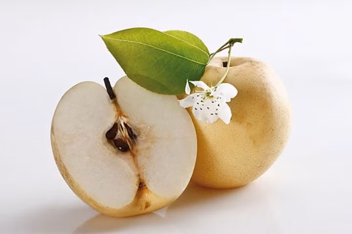 hạt trái cây hạt trái cây