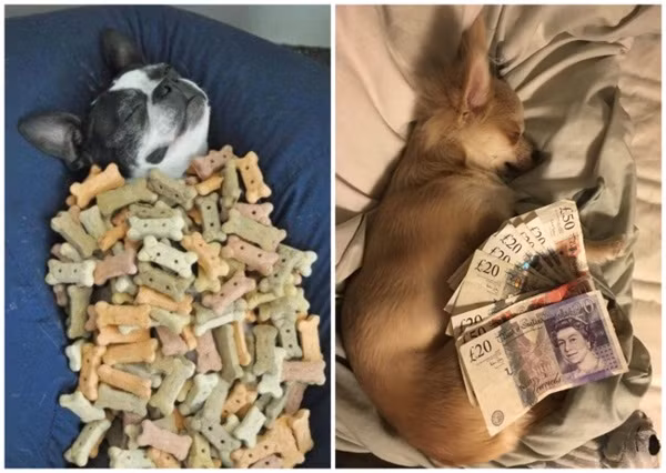 cuoi-te-ghe-29-10-cach-makeup-de-tro-nen-dep-trai-hon