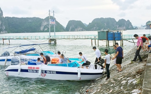 thong tin tiep vu xuong may cho khach trai phep tren vinh ha long hinh 1