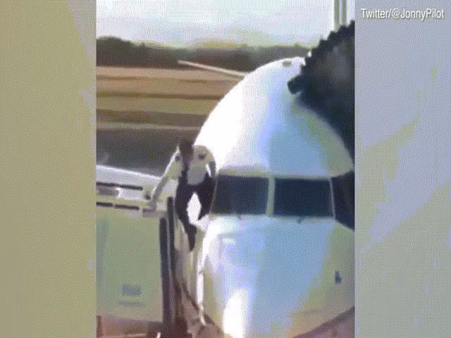 Quên chìa khóa, phi công trèo qua cửa sổ máy bay vào buồng lái 