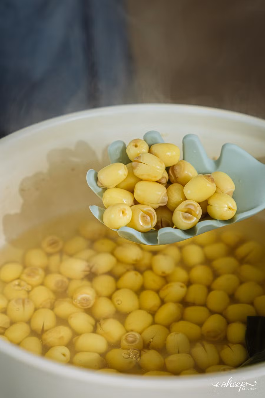 Dùng sen tươi sẽ bỏ qua công đoạn ngâm, nấu luôn cho bở tơi rồi vớt ra để ráo là xong. Nếu dùng sen khô, bạn nhớ ngâm với nước ấm trước rồi chế biến. Dùng sen tươi sẽ bỏ qua công đoạn ngâm, nấu luôn cho bở tơi rồi vớt ra để ráo là xong. Nếu dùng sen khô, bạn nhớ ngâm với nước ấm trước rồi chế biến.