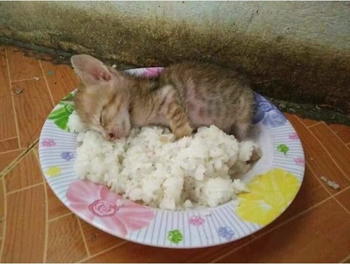 Căng da bụng, chùng da mắt.