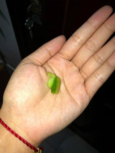 Sau khi cấp cứu cho con tại bệnh viện về, chị Ngọc mới bình tĩnh chụp lại miếng dưa chuột văng khỏi miệng con lúc trước. Sau khi cấp cứu cho con tại bệnh viện về, chị Ngọc mới bình tĩnh chụp lại miếng dưa chuột văng khỏi miệng con lúc trước. Ảnh: NVCC.