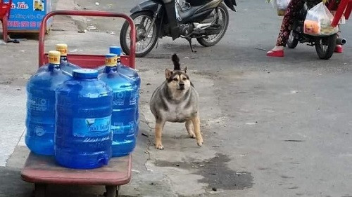 Có tất cả bao nhiêu bình nước trong ảnh?