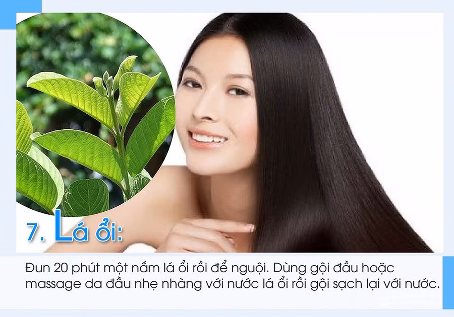 Tự làm 7 loại mặt nạ chống rụng tóc khi giao mùa Thu - Đông