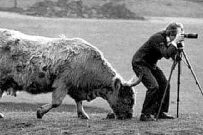 Nhiếp ảnh gia "lăn xả" chụp ảnh... cười hình ảnh 7 nhiep anh gia "lan xa" chup anh... cuoi hinh anh 7