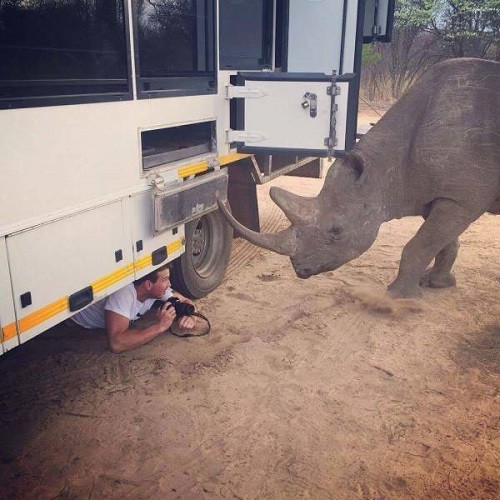 Xin chào nhiếp ảnh gia!