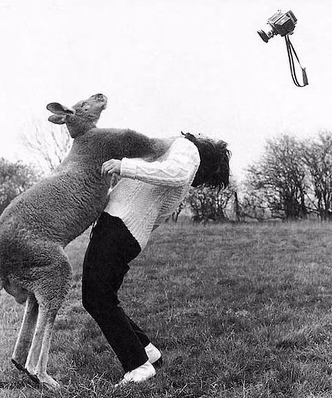 nhiep anh gia "lan xa" chup anh... cuoi hinh anh 1