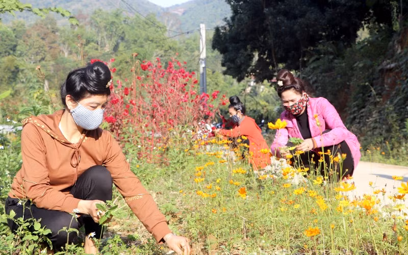 Những mô hình đường hoa của Hội LHPN tỉnh Điện Biên. Ảnh: Báo Điện Biên Phủ.