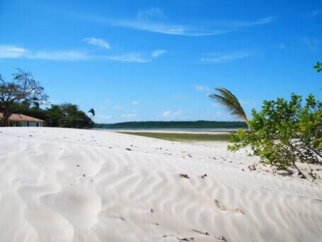 Cảnh sát cưỡi... trâu nước nặng 450 kg đi tuần tra - 3