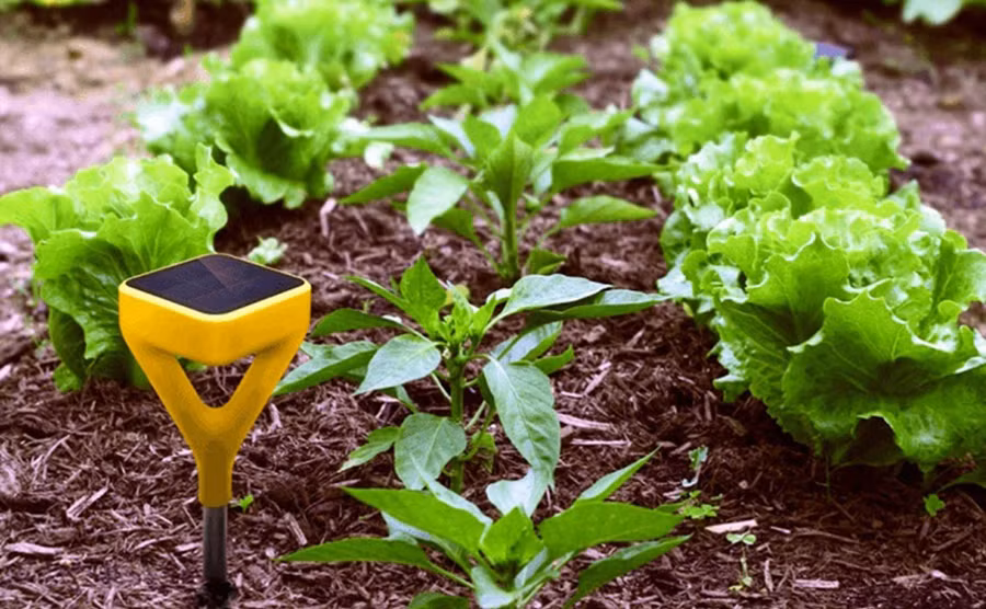 Xu hướng đào tạo, người nông dân sẽ học các kiến thức để sử dụng thiết bị thông minh trong sản xuất nông nghiệp