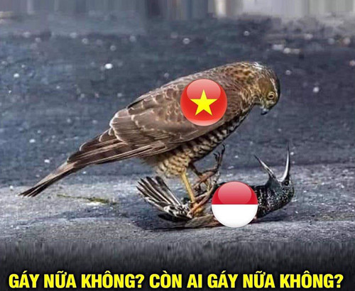 Việt Nam đè bẹp Indonesia trong trận chung kết "có Hậu" ảnh 9 Indonesia đã hoàn toàn bị đè bẹp bởi U22 Việt Nam.