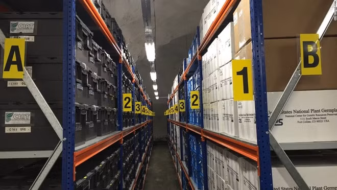 Hàng trăm nghìn hạt giống tại đây...