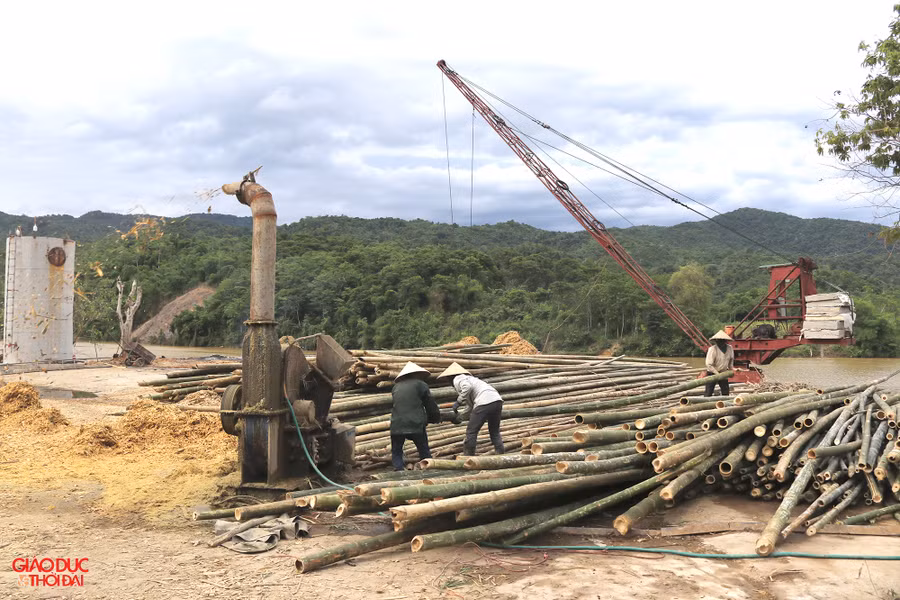 Cơ sở thu mua, chế biến giấy và đồ mỹ nghệ từ cây tre mét ở huyện Tương Dương. (Ảnh: Phạm Tâm)