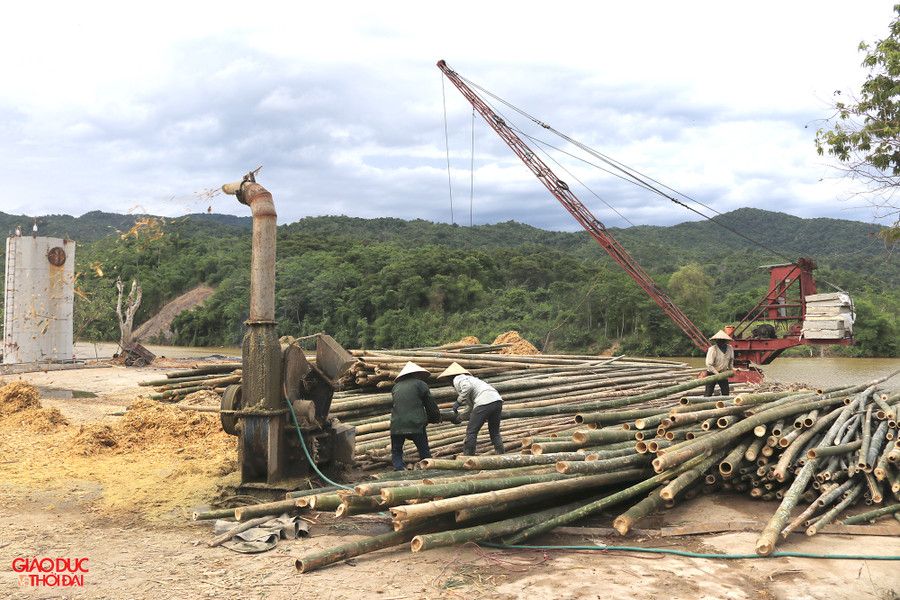 Cơ sở thu mua, chế biến giấy và đồ mỹ nghệ từ cây tre mét ở huyện Tương Dương. (Ảnh: Phạm Tâm)