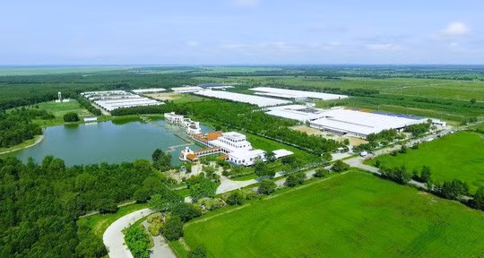 Tết tại ‘resort’ bò sữa Vinamilk có gì đặc biệt? - ảnh 4