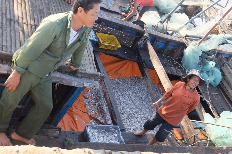 Lộc biển đầu xuân