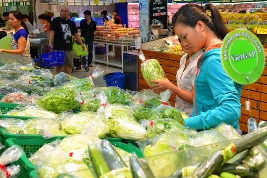 Nông nghiệp sạch – Bài toán chưa lời giải