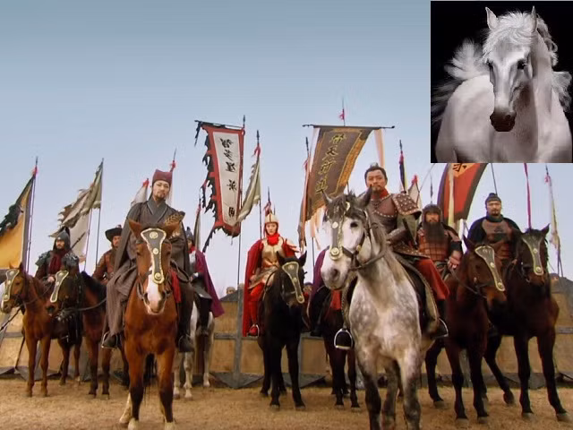 top 4 bau vat gia tri tuyet dinh trong thuy hu khong phai ai cung biet hinh anh 2