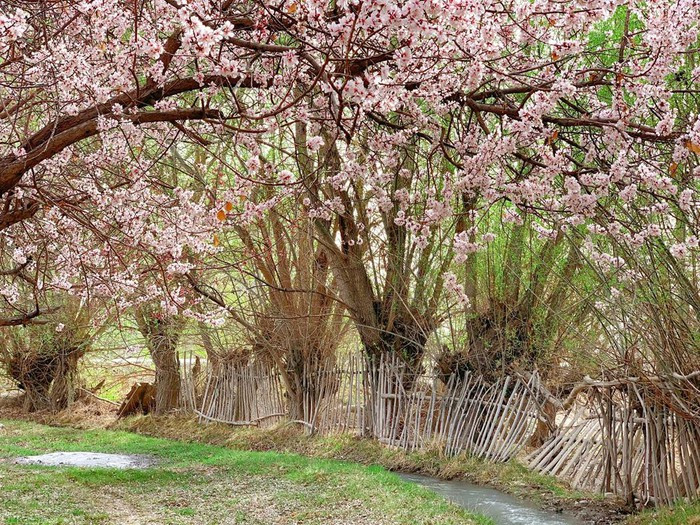 Khám phá vẻ đẹp Tân Cương, nơi sản sinh các "tuyệt sắc giai nhân" ảnh 5 Khám phá vẻ đẹp Tân Cương, nơi sản sinh các "tuyệt sắc giai nhân" ảnh 5