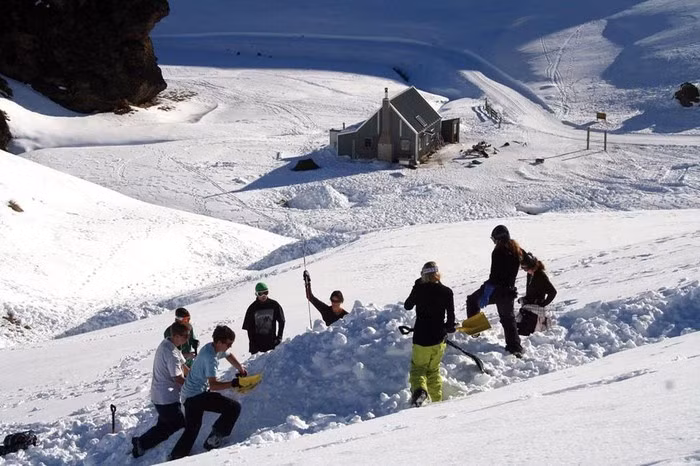 Những môn học thú vị tại New Zealand ảnh 5