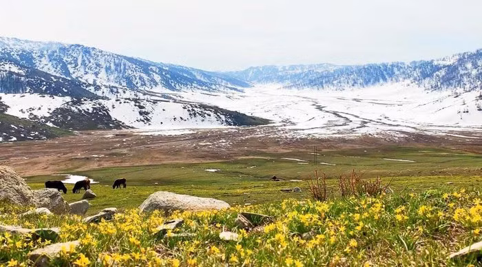 Khám phá vẻ đẹp Tân Cương, nơi sản sinh các "tuyệt sắc giai nhân" ảnh 7