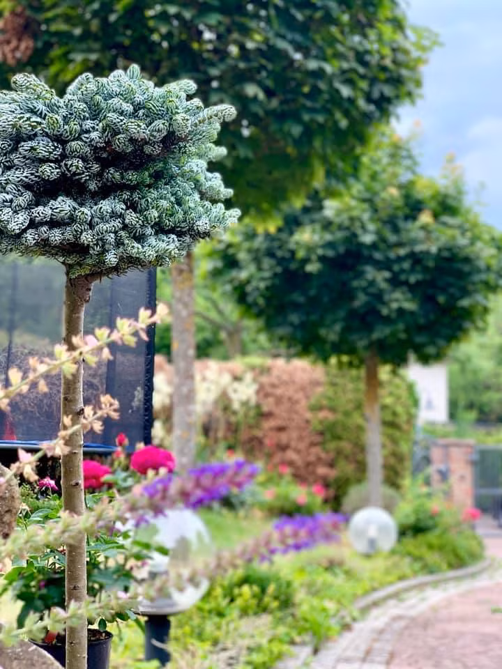 Khu vườn rộng 1.400m2 tại biệt thự Đức của ca sĩ Mỹ Lệ-5