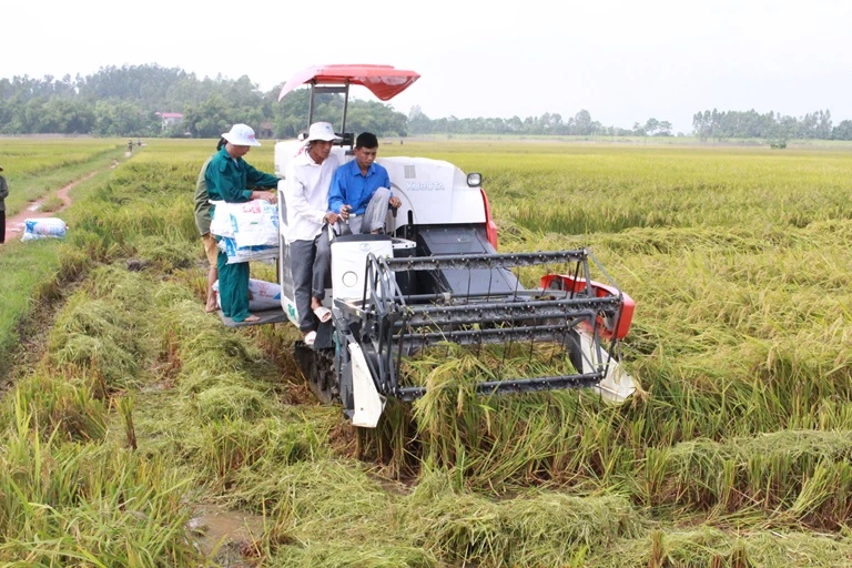 Tăng thuế bảo vệ môi trường đối với xăng dầu: Cần có lộ trình hợp lý