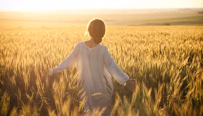 d3503fe4-0d7b-11e7-aabd-56c566ee3692-15417242279601310484922