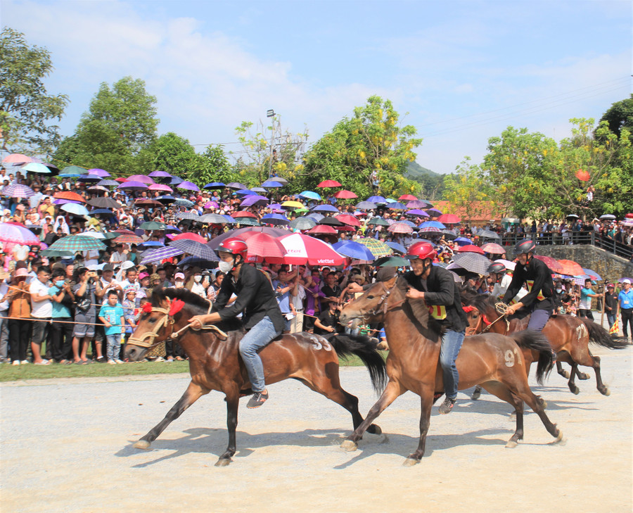 Giải đua thu hút đông đảo người dân tham gia.