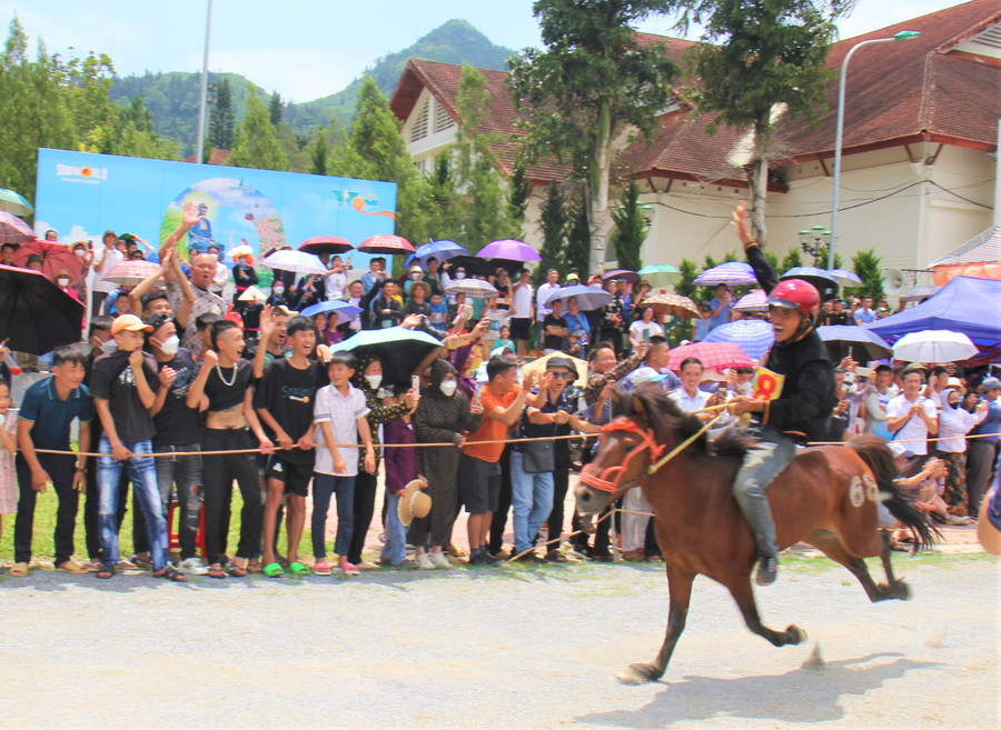 Niềm vui của nài ngựa Thào Seo Phừ cùng chú ngựa số 68 khi giành giải Nhất. Niềm vui của nài ngựa Thào Seo Phừ cùng chú ngựa số 68 khi giành giải Nhất.
